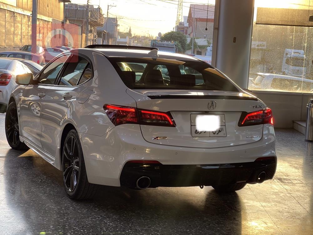أكورا TLX